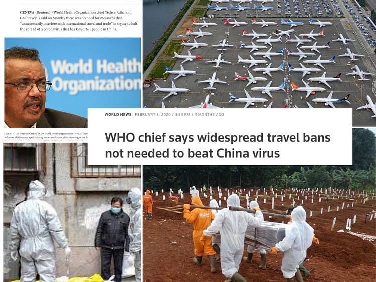 WHO travel ban