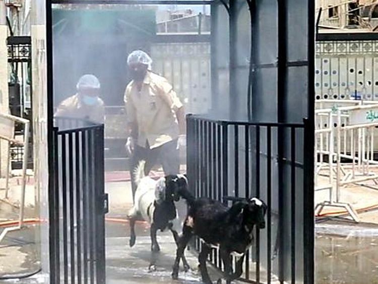 NAT 200609 PIC-1591772988829