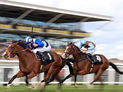 Tabarrak wins the Dubai Duty Free Tennis Championships Cup Stakes