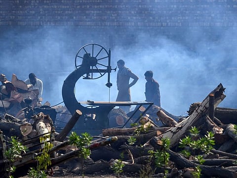 Kashmir's forest department workers seized 4,342 cubic feet of timber from smugglers in the past two months, as well as confiscating 13 vehicles and 41 horses, and filed 103 police reports against 306 perpetrators. Picture for illustration only. 