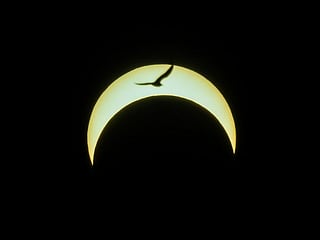 Will the world come to an end on June 21? 
