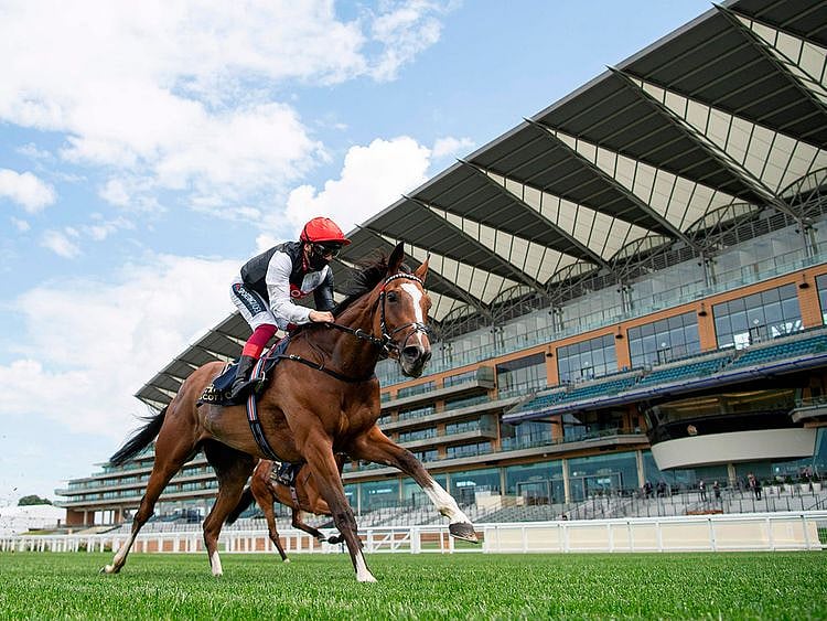 Royal ascot still managed to thrill, despite the lack of fans