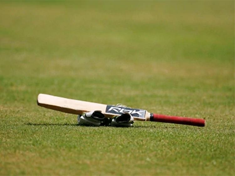 cricket bat