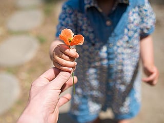 In a world that is fast, divided, and distracted, kindness is not soft; it is essential.