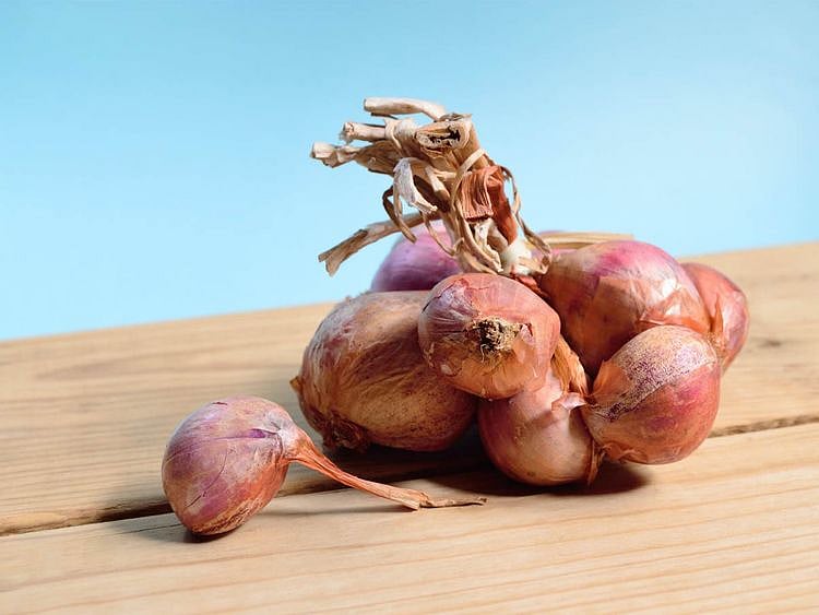 Red onion june 18 price monitor