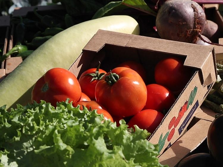 UAE ensuring food security