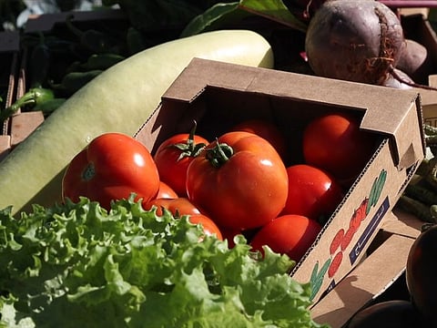 Imports will keep playing a role for nations that have limitations on localised farming. But the strategy going forward is to get smart with imports.