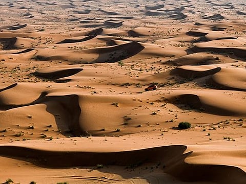 National Environment Day: UAE President affirms advancing innovative solutions in sustainability