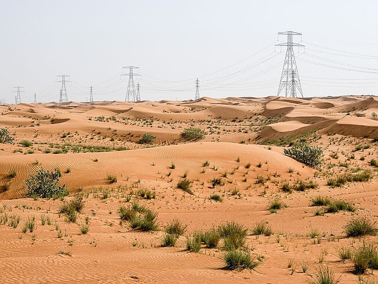 UAE Desert
