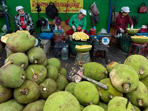 Workers cut apart jackfruit, separating the fruit and seeds from the rind, at Talad Thai, Bangkok’s wholesale fruit market and the largest in Southeast Asia, on June 10, 2020. This is peak fruit season in Thailand, when the rising mercury concentrates the sugars in the tropical bounty that is native to Southeast Asia. (Amanda Mustard/The New York Times)