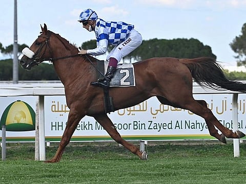 Astral del Sol en route to winning the 1,500 metre Al Watha Stallions Cup at Capanelle Racecourse in Rome in Tuesday.