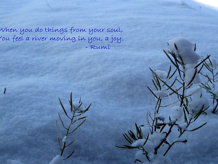 Thought Rumi