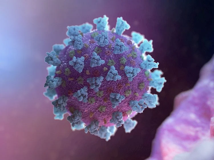 coronavirus model generic | A computer image created by Nexu Science Communication together with Trinity College in Dublin, shows a model structurally representative of a betacoronavirus which is the type of virus linked to COVID-19, better known as the coronavirus linked to the Wuhan outbreak, shared with Reuters on February 18, 2020. 