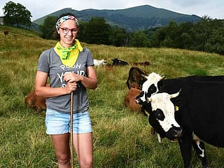 Young Italians pick cows over clubbing in Italy