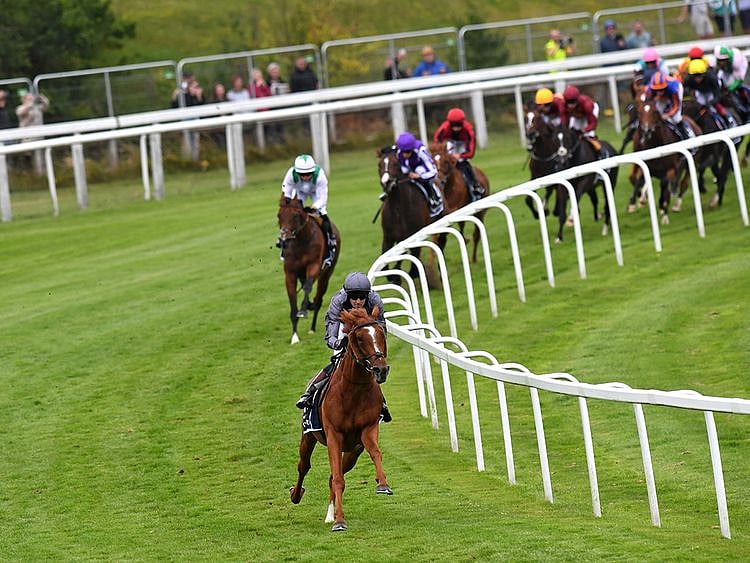 Khalifa Sat comes home second to Serpentine in the Epsom Derby
