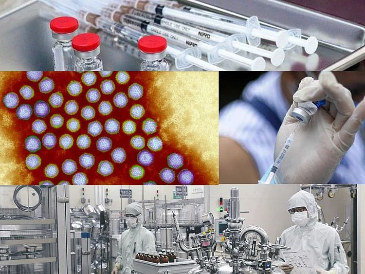 Vaccine approval