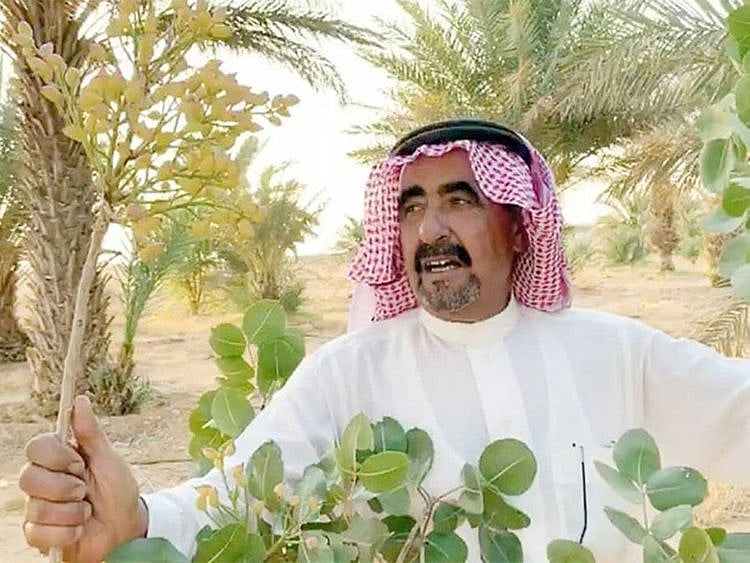 Aleppo pistachios and broccoli in Al Jouf Saudi farmer