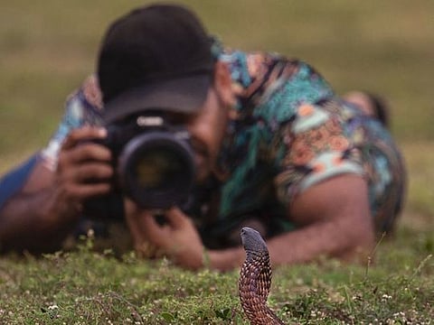 When nature photographer Haitham Al Shanfari came across a rare snake on his walk