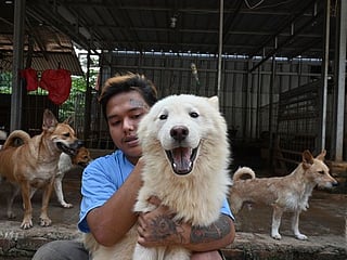 COVID-19: Indonesia 'dog doctor' rescues canines from pandemic peril