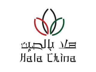 UAE and China look to revive bilateral economic activity through Digital Expo
