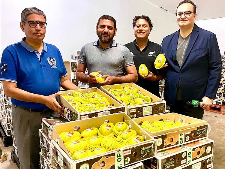 Pakistan export Japan mangoes