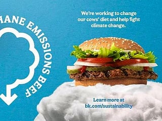 Burger King addresses climate change by changing cows' diets