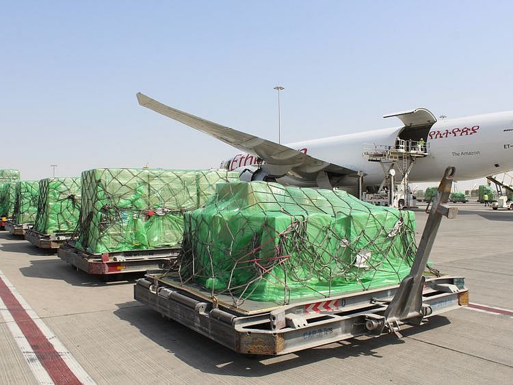 NAT 200715 UAE relief to CAR2-1594802827010