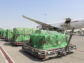 UAE sends relief to people in Central African Republic