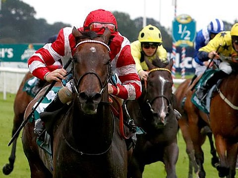 Sinjaari wins the John Smith's Cup at York