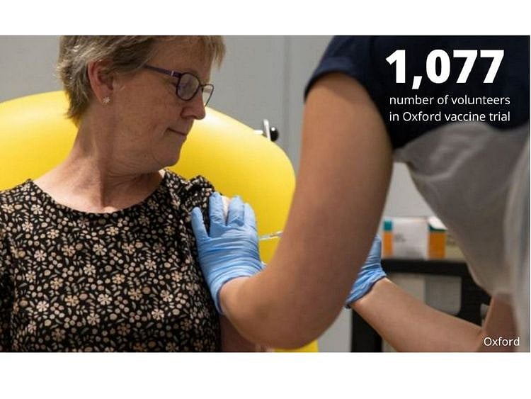 The Oxford's candidate vaccine AZD1222