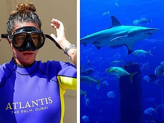 Diving with sharks at Atlantis The Palm Dubai