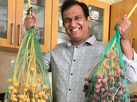 The harvest has allowed Asad Haque to donate a large quantity of dates to charity.