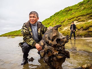 Well-preserved mammoth skeleton found in Siberian lake