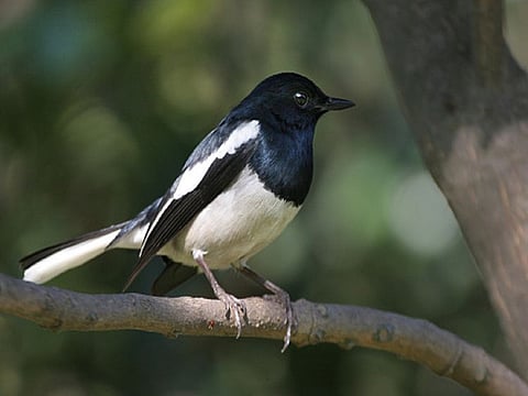 For illustrative purpose only