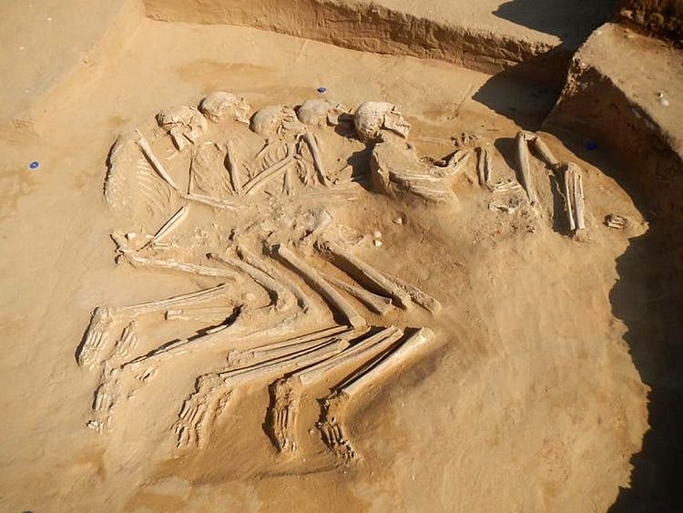 WEB 200725 SKELETON-1595833271871