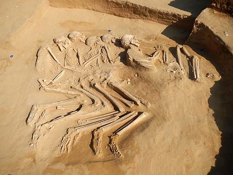 The five interlocked skeletons