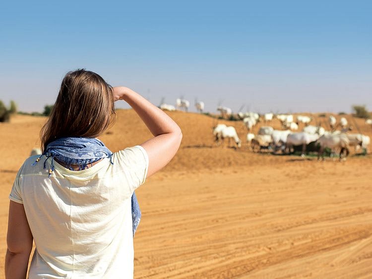 Dubai Desert Conservation Reserve