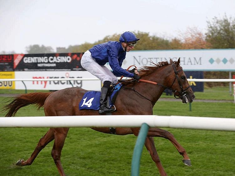 Horse racing