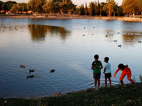 Children feed ducks at the Las Cruces park during the sunset, amid the coronavirus disease (COVID-19) outbreak, in Madrid, Spain July 30, 2020.