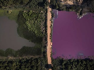 Pollution turns one side of divided Paraguayan lagoon purple