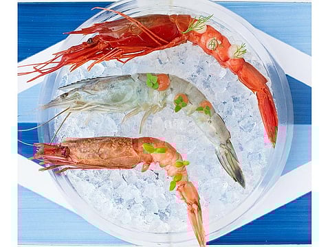 Food news: Alici launches a new Solo Crudo night