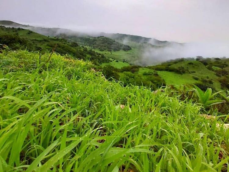 ME 200808 salalah today-1596900496687