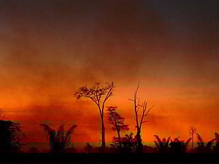 Brazilian Amazon again under threat from forest fires