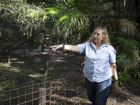 Carole Baskin, founder of Big Cat Rescue, walks the property near Tampa, Florida. The family of Don Lewis, a Florida man who disappeared in 1997 and who appeared on the hit TV series “Tiger King,” has hired a lawyer and is offering $100,000 in exchange for information to help solve the case. Attorney John Phillips held a news conference Monday, Aug. 10, 2020 and announced the investigation into Don Lewis’ disappearance.
