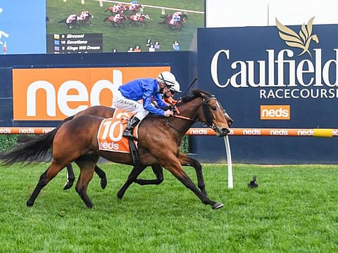 Godolphin's Savatiano wins the PB Lawrence Stakes at Caulfield Racecourse 