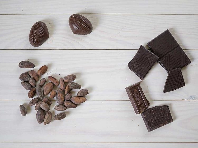 20200818 cocoa beans