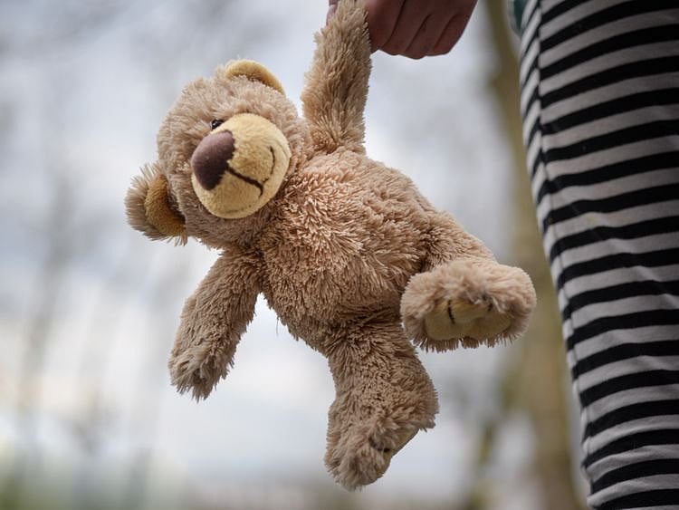 Holding toy