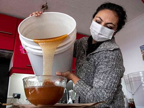 Photos: 'I Was Selling Honey to Survive.' Then Mel Gibson Threatened to Sue