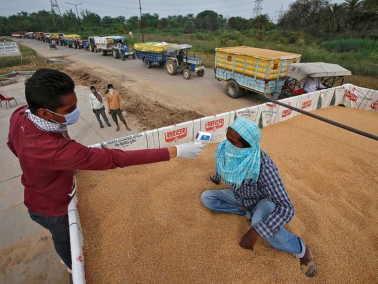 India labourer Mumbai temperature covid