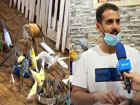 Bashar Al Shuraim has turned the roof of his house into a reserve for more than 200 birds.